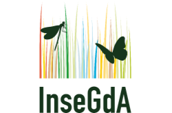 Insegda Logo